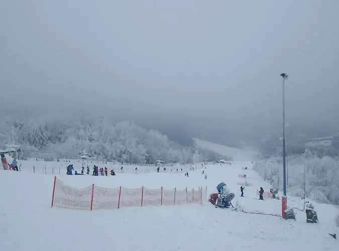 Piecykowo Miedzybrodzie Zywieckie